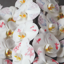 画像をギャラリービューアに読み込む, 化粧蘭 2本立_装花祝花