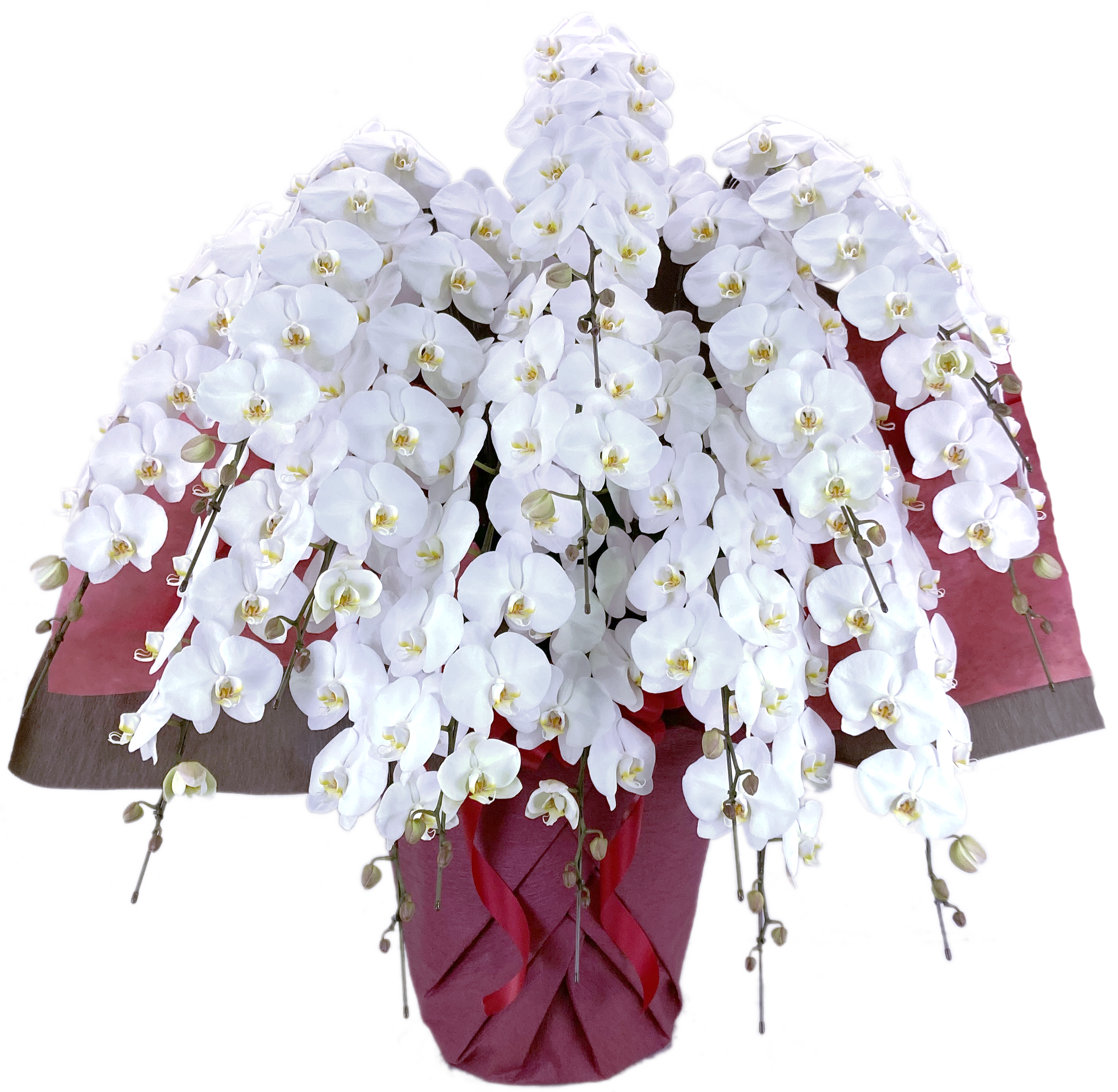 ED15_V3_eaac6872-6147-46ee- ED15_V3_eaac6872-6147-46ee-