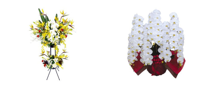 スタンド花と胡蝶蘭、どちらを贈るべき？｜シーン別・相手別で徹底比較ガイド