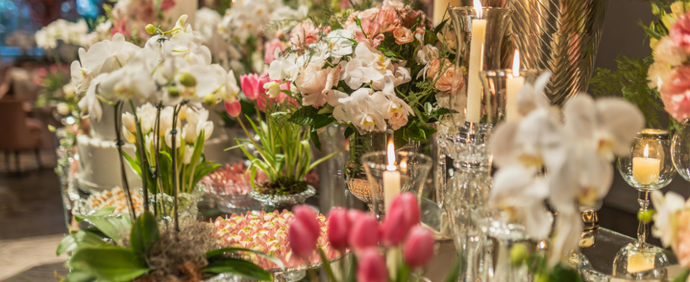 胡蝶蘭のおすすめお祝いシーン｜お祝い万能花プライベート編
