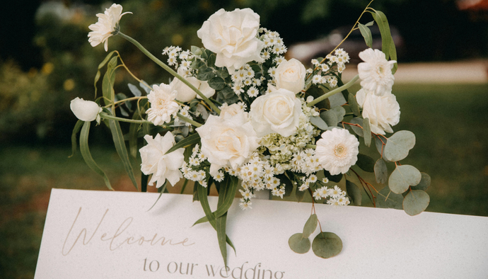 結婚相談所・ウェディングサロンの開業祝い 空間に馴染む胡蝶蘭の選び方