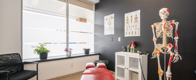 整骨院・接骨院・鍼灸院の開店お祝いに贈る胡蝶蘭｜開院・移転・周年祝いに最適な花と選び方