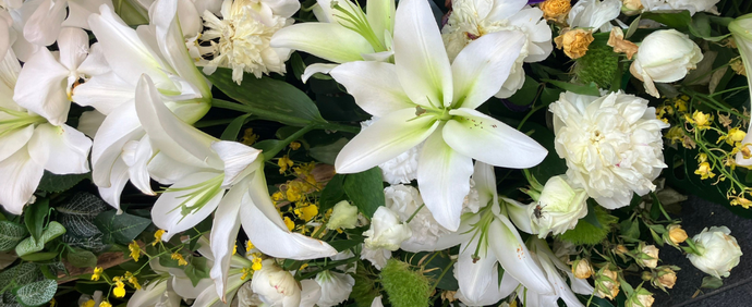 【大阪の開店祝い花】“持ち帰り文化”とは？贈る側・受け取る側のマナーを徹底解説