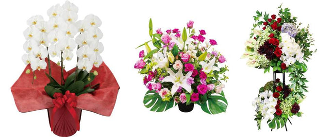 【移転お祝いの花ギフト】胡蝶蘭・スタンド花・花束の正しいマナーと選び方