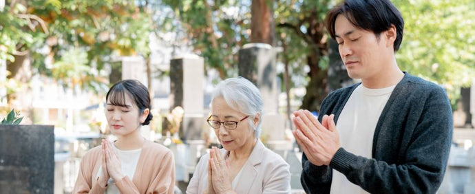 法要・命日・四十九日に贈るお供え用胡蝶蘭｜上品さと心を伝える選び方ガイド