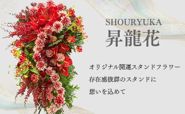 昇龍花（しょうりゅうか）とは？龍の形をした縁起の胡蝶蘭と贈り物の意味