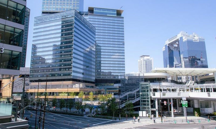 大阪で胡蝶蘭を即日配達｜注文から納品までの流れを徹底解説