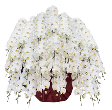 画像をギャラリービューアに読み込む, 胡蝶蘭超豪華 30本立（360輪以上）の画像｜法人向け祝い花・ギフトに最適（大阪市内送料無料・即日配送対応）
