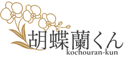 胡蝶蘭くん