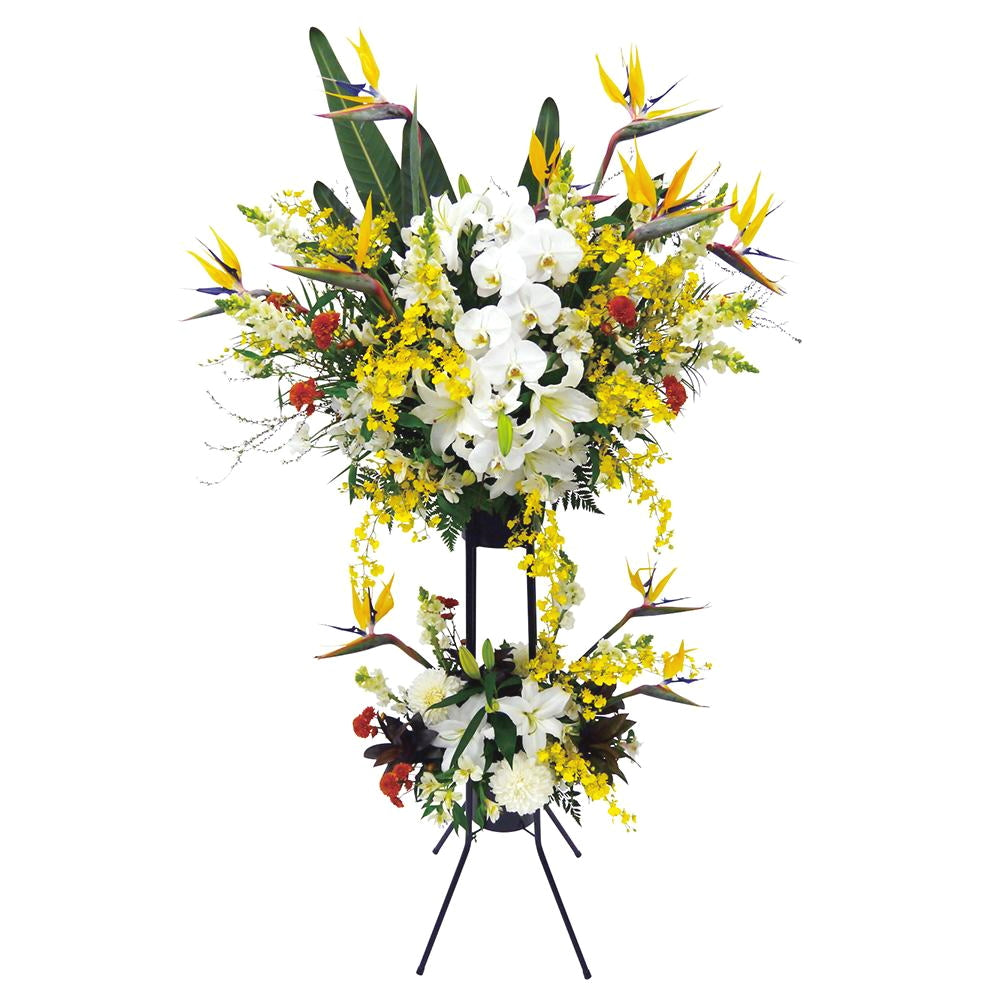 スタンドフラワー – 胡蝶蘭くん